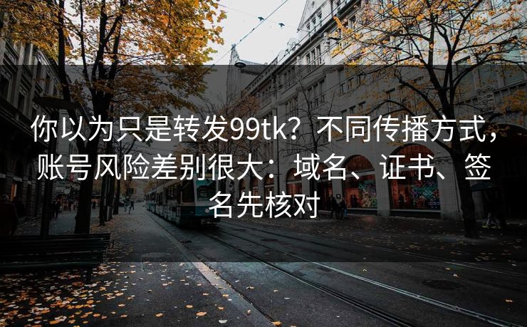你以为只是转发99tk？不同传播方式，账号风险差别很大：域名、证书、签名先核对